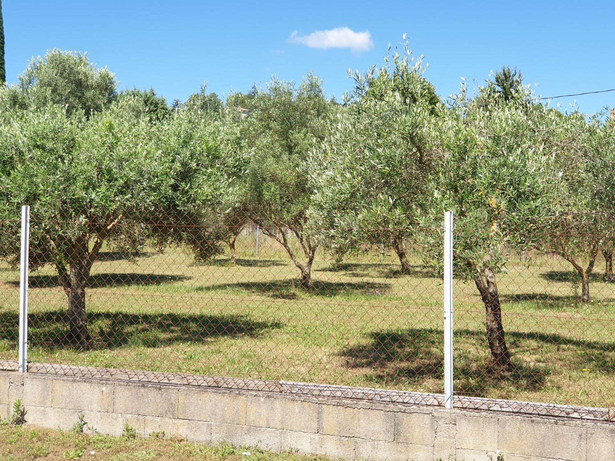 Gite Et Piscine L'Ecrin Aux Oliviers En Cevennes Saint-Christol-lès-Alès Екстериор снимка